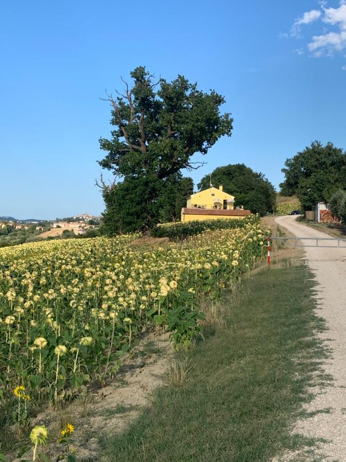 Casa In Campagna La Roverella Francavilla dʼEte Exterior foto